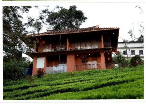 01-Wooden-Cottage page-0011